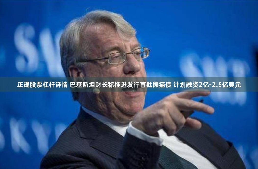 正规股票杠杆详情 巴基斯坦财长称推进发行首批熊猫债 计划融资2亿-2.5亿美元